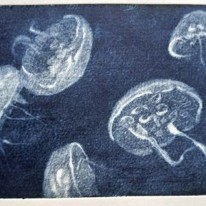 NIEUW Kwallen 10x15 mezzotint druk 6/6
