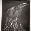 Mezzotint  10x15  druk 1/6