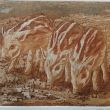 Zwijntjes lijnets, suikerets + aquatint  11x17 druk 4/8